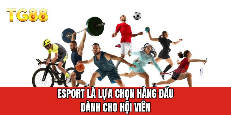 Esports là lựa chọn hàng đầu dành cho hội viên