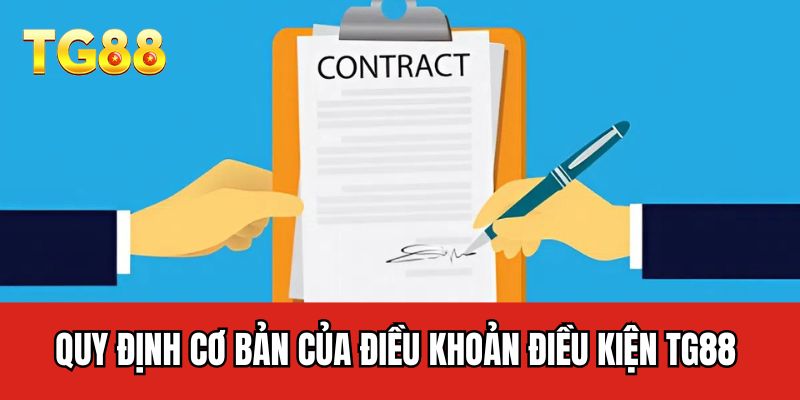 Quy định cơ bản của điều khoản điều kiện TG88