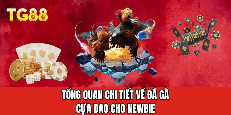 Tổng quan chi tiết về đá gà cựa dao cho newbie
